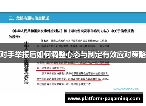 对手举报后如何调整心态与制定有效应对策略