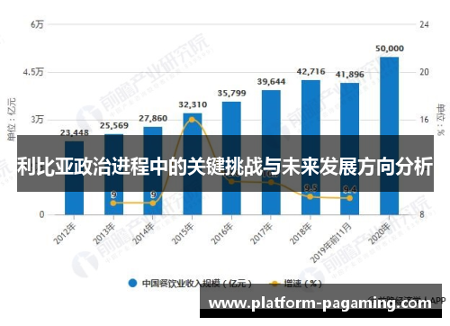 利比亚政治进程中的关键挑战与未来发展方向分析