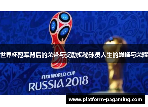 世界杯冠军背后的荣誉与奖励揭秘球员人生的巅峰与荣耀