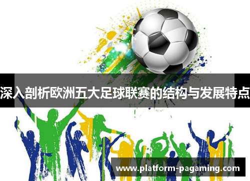 深入剖析欧洲五大足球联赛的结构与发展特点