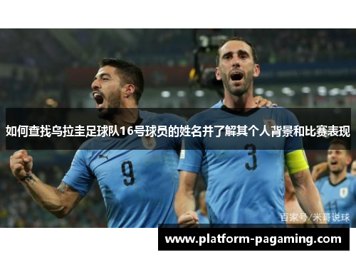 如何查找乌拉圭足球队16号球员的姓名并了解其个人背景和比赛表现