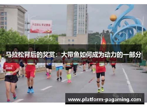 马拉松背后的奖赏:大带鱼如何成为动力的一部分 马拉松背后的奖赏:大带鱼如何成为动力的一部分