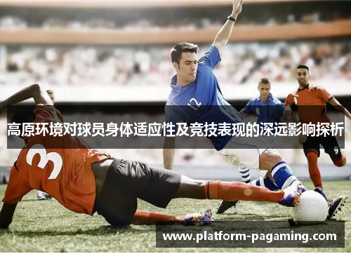 高原环境对球员身体适应性及竞技表现的深远影响探析 高原环境对球员身体适应性及竞技表现的深远影响探析
