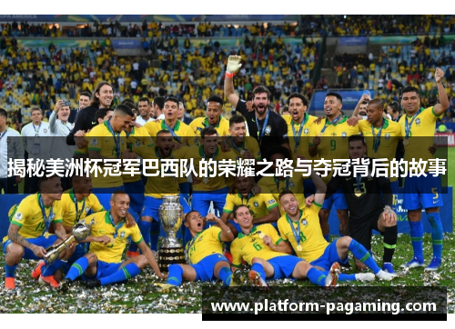 揭秘美洲杯冠军巴西队的荣耀之路与夺冠背后的故事