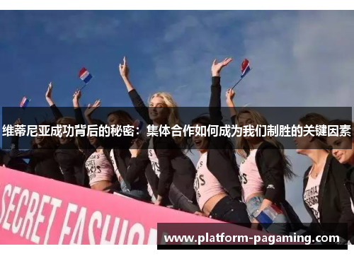 维蒂尼亚成功背后的秘密:集体合作如何成为我们制胜的关键因素 维蒂尼亚成功背后的秘密:集体合作如何成为我们制胜的关键因素