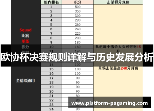 欧协杯决赛规则详解与历史发展分析