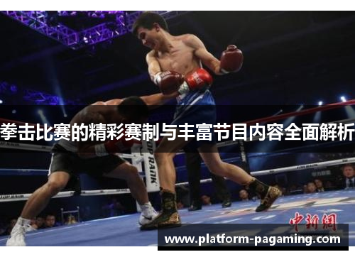 拳击比赛的精彩赛制与丰富节目内容全面解析 拳击比赛的精彩赛制与丰富节目内容全面解析