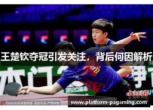 王楚钦夺冠引发关注,背后何因解析 王楚钦夺冠引发关注,背后何因解析