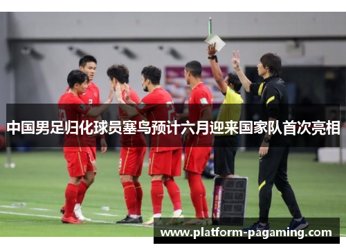 中国男足归化球员塞鸟预计六月迎来国家队首次亮相