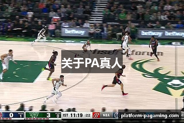 关于PA真人