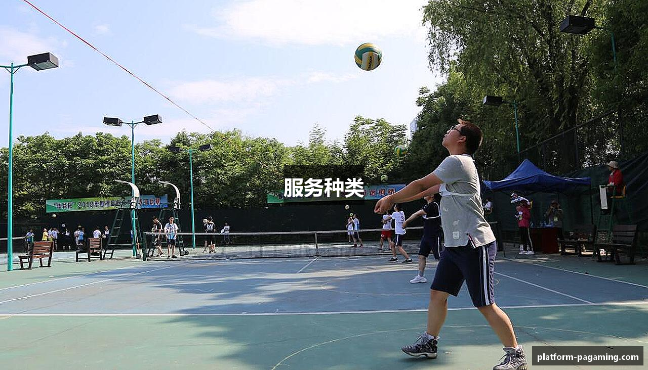 服务种类