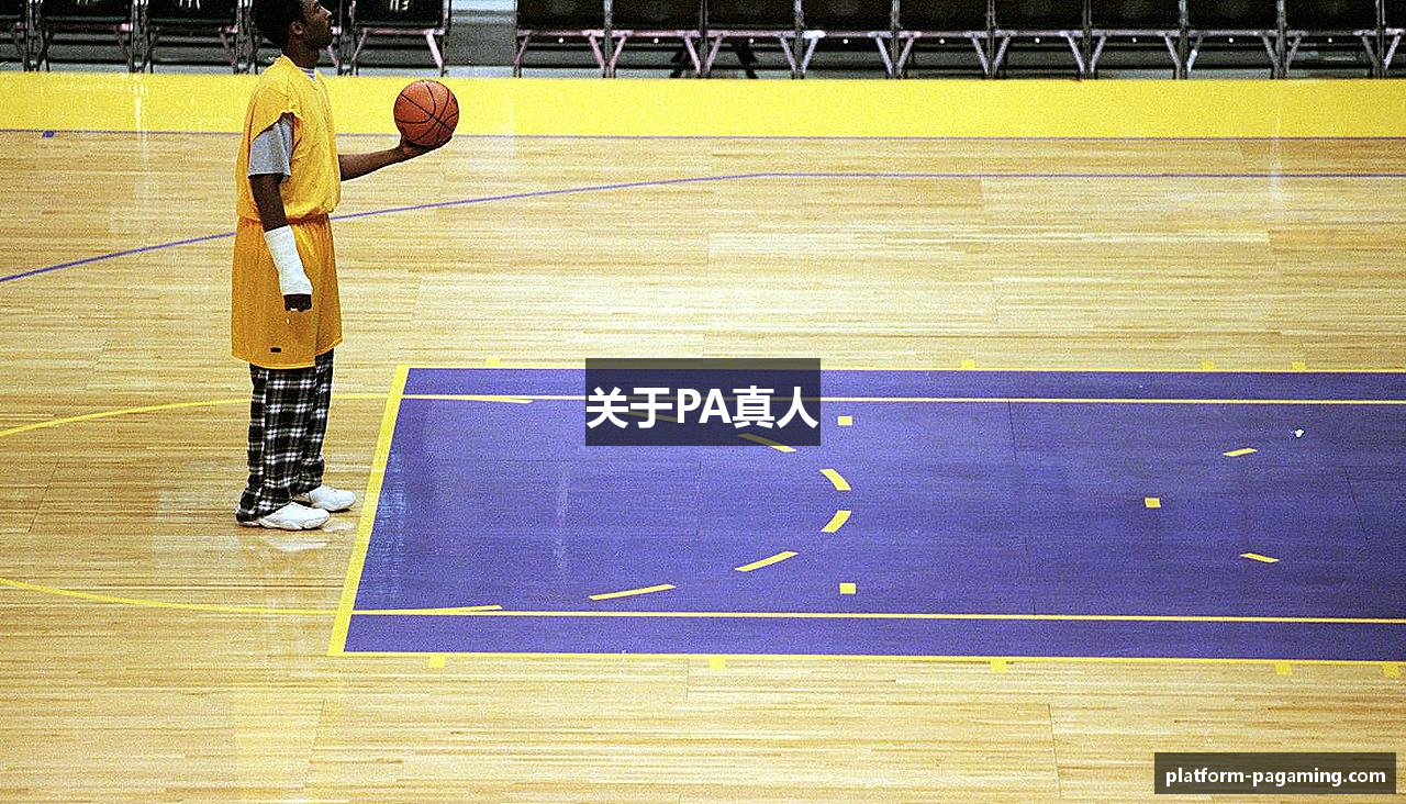 关于PA真人
