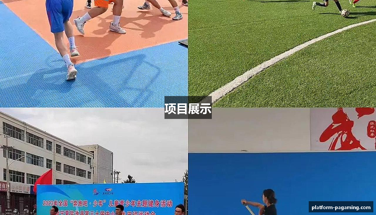 项目展示